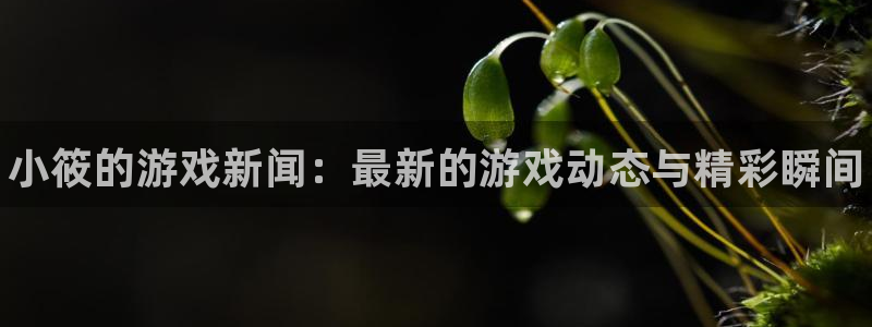 欧博娱乐代理登陆：小筱的游戏新闻：最新的游戏动态与精彩瞬间