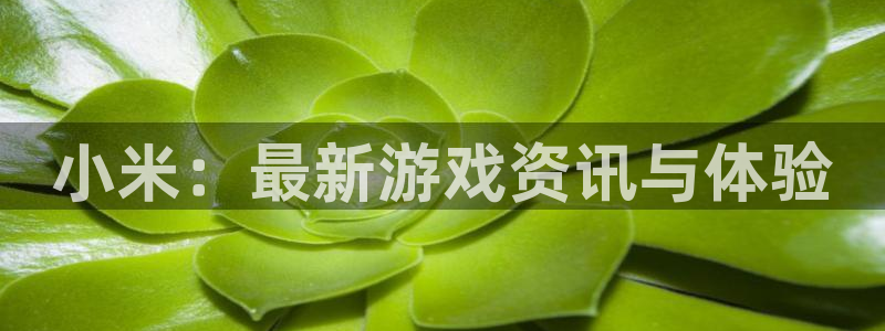 手机欧博娱乐下载安装：小米：最新游戏资讯与体验