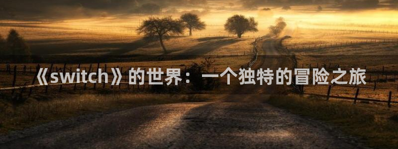欧博娱乐咨询：《switch》的世界：一个独特的冒险之旅
