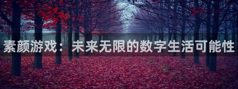 欧博娱乐注册平台：素颜游戏：未来无限的数字生活可能性