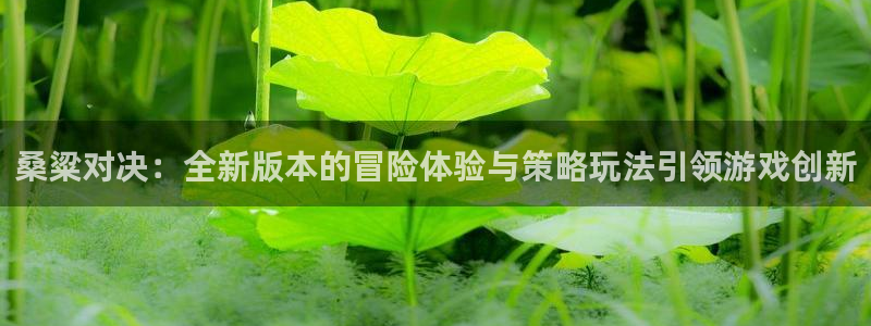 欧博娱乐平台登录：桑粱对决：全新版本的冒险体验与策略玩法引领