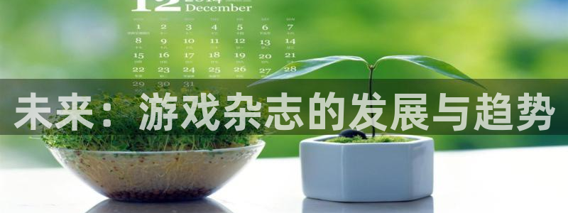欧博娱乐网页登录入口官网：未来：游戏杂志的发展与趋势