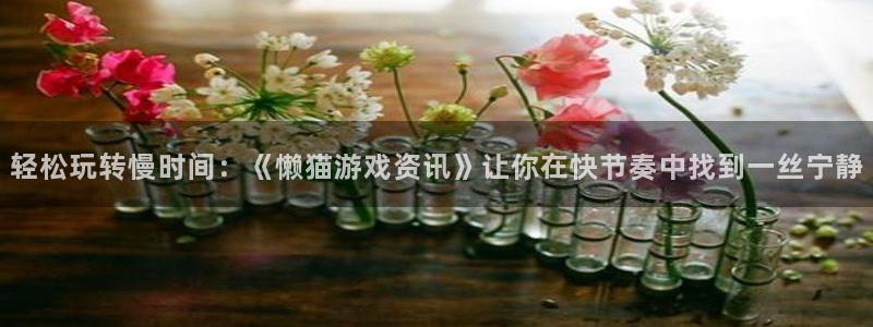 欧博娱乐咨询：轻松玩转慢时间：《懒猫游戏资讯》让你在快节奏中