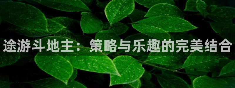 欧博娱乐测速：途游斗地主：策略与乐趣的完美结合