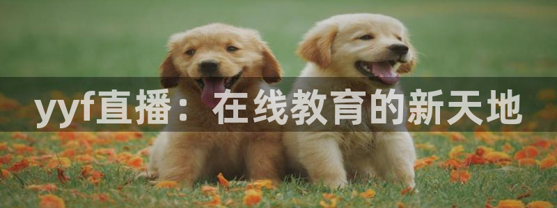 火凤直播体育足球：yyf直播：在线教育的新天地