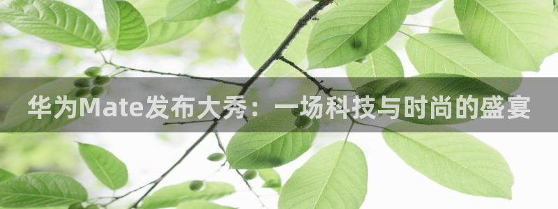 火凤直播足球赛免费视频：华为Mate发布大秀：一场科技与时尚的盛宴